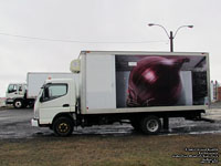 Red Onion